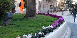 L’aiuola di piazza Immacolata devastata dai vandali