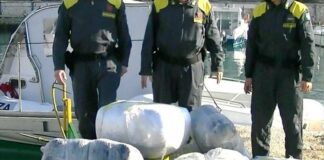 Mezza tonnellata di marijuana sequestrata dalla Finanza