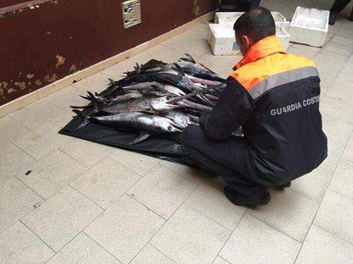 sequestro di pesce spada sotto musura a Taranto