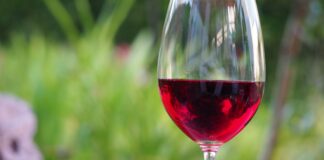 Primo Master del Primitivo