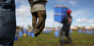 Operazione anticaporalato: arrestato un 39enne e denunciata proprietaria del terreno