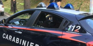 Furti ad aziende agricole: arrestati due ladri nordafricani