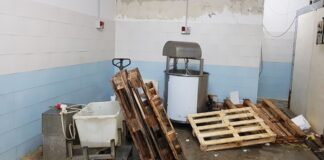 Sequestrate 2 tonnellate di prodotti ittici a Taranto