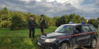 Rubano 400 kg di arance ma vengono sorpresi dai Carabinieri: denunciati 4 tarantini
