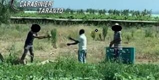 Immigrati sfruttati nei campi: scattano due arresti nel tarantino
