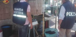 Sequestrato a Taranto oltre 1 quintale di cozze e 10 kg di pesce
