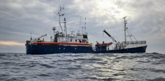 Viminale dà ok allo sbarco della “Alan Kurdi”: arriverà nel porto di Taranto