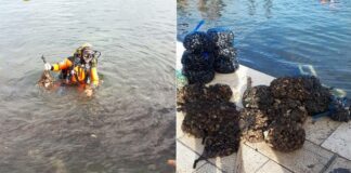 Sequestrate circa cinque tonnellate e mezzo di prodotti ittici