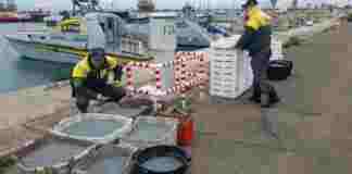 Sequestrata una tonnellata di novellame di pesce, sanzioni per 50mila euro