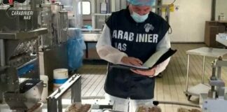 Controlli dei Nas in un agriturismo, sequestri e sanzioni per irregolarità