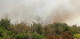 Cinque ettari di macchia mediterranea distrutti dagli incendi nel tarantino