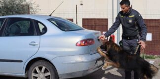 Le Fiamme Gialle sequestrano numerose dosi di eroina, cocaina e hashish, segnalate 13 persone