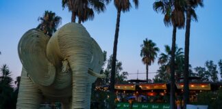 Al via la 2^ stagione dell’Elephant Park con il “Festival del Tempo Libero”