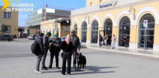 Controlli in stazioni e scali portuali, segnalate 13 persone per uso di droga