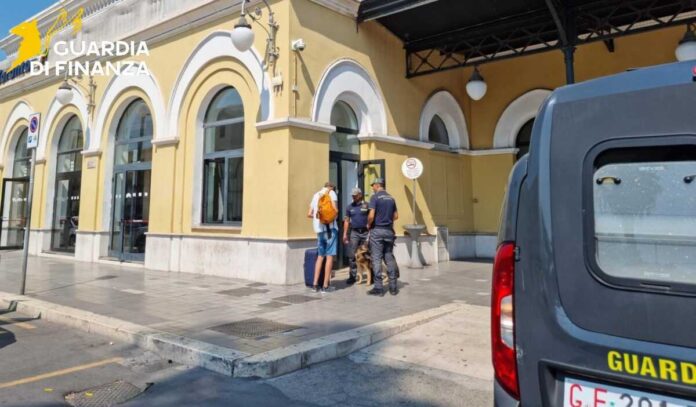 cinofili droga cronaca