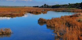 Il FAI per il clima: Taranto protagonista tra natura, cultura e impegno ambientale