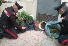 Scoperti 7 chili di droga tra garage e cortile: arrestato un 51enne