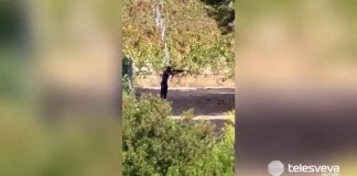 Marina di Lizzano, spari all’alba e in direzione delle abitazioni: la video-denuncia dei residenti
