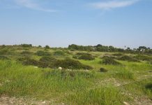 Nasce nella borgata di Lama a Taranto un parco storico naturalistico tematico
