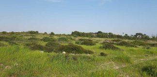 Nasce nella borgata di Lama a Taranto un parco storico naturalistico tematico