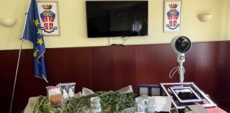 Leporano, serra indoor con 5 piante di cannabis: arrestato 31enne