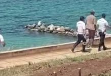 2 agenti di Polizia Locale feriti a Taranto, la UIL FP Taranto: «Limite non più valicabile»